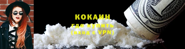 ALPHA PVP Каменка
