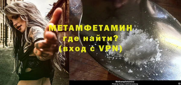 ALPHA PVP Каменка