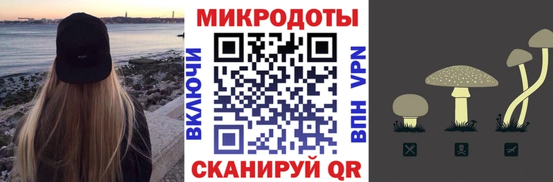 Псилоцибиновые грибы Magic Shrooms  Купить  Хасавюрт 