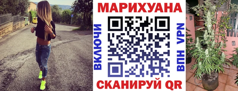 Канабис планчик  Купить  Хасавюрт 
